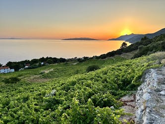 Visite privée du vin et de la gastronomie au départ de Dubrovnik